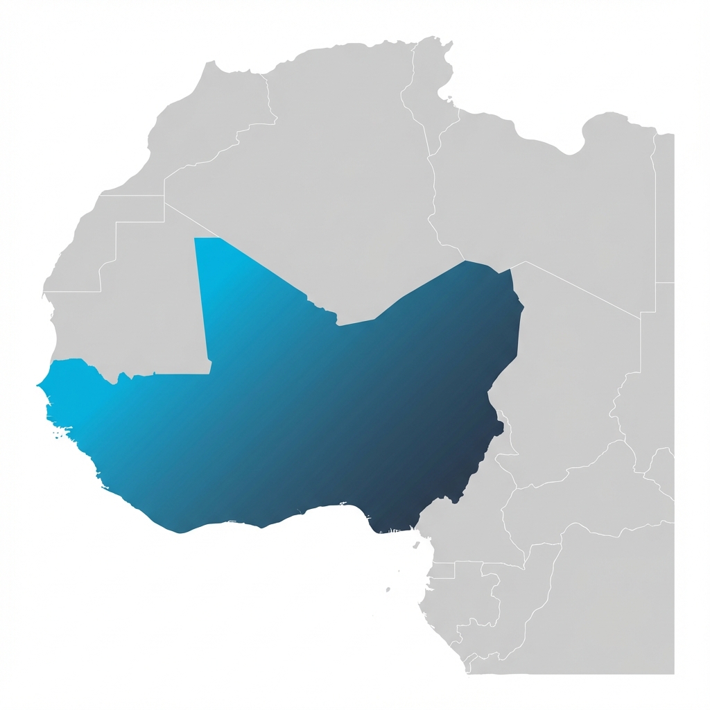 Carte Afrique de l'Ouest - Zone d'intervention Millenium Services